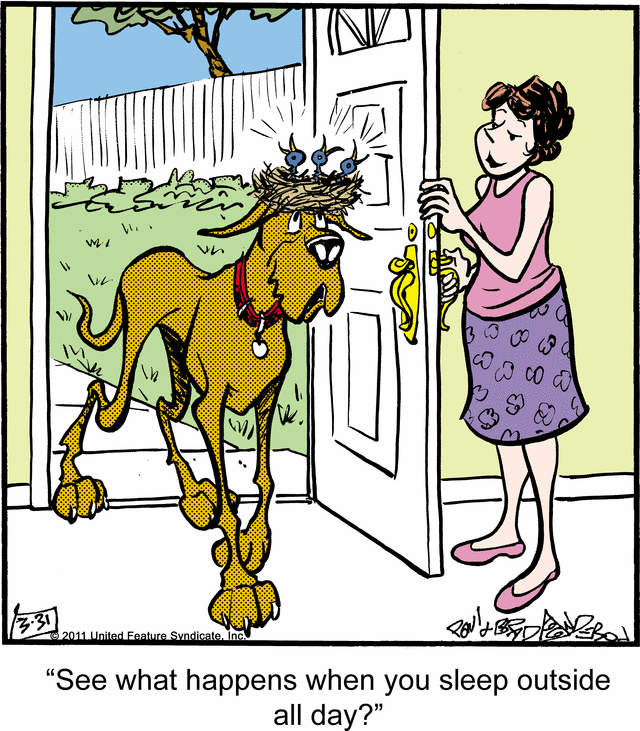 marmaduke